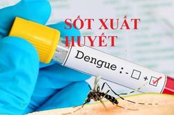 Hà Tĩnh phát hiện thêm 2 ổ dịch sốt xuất huyết