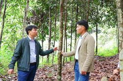 Thu nhập cao nhờ mô hình kinh tế đa cây, đa con