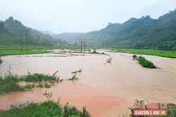 Hoàn lưu cơn bão số 2 gây thiệt hại tại một số địa phương