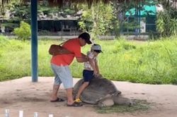 Nhóm khách trèo rào, bế trẻ con ngồi lưng rùa chụp ảnh ở Long An gây bức xúc