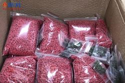 Phê chuẩn khởi tố sơn nữ vận chuyển một bao tải ma túy