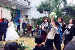 Chiều vợ, chú rể chặt tre nứa trong rừng để trang trí đám cưới ở nông thôn