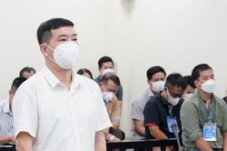 Cựu Đại tá Phùng Anh Lê khẳng định vô tội, tiếp tục kêu oan, chống án nếu bị tuyên có tội