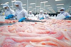 Xuất khẩu bứt phá, ngành thủy sản vẫn 'đau đầu'