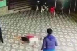 Bị đâm chết vì 'gà cờ' trong lúc xem đánh cờ tướng