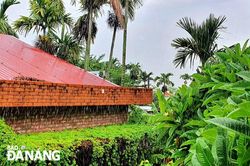Tháng Bảy mưa ngâu