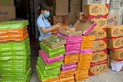 'Đột kích' thu giữ gần 11.000 bánh Trung thu giá chỉ 2.500/chiếc