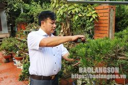 Chi hội trưởng nông dân làm kinh tế giỏiTin khácÝ nghĩa qua các chuyến sinh hoạt về nguồnĐảm bảo cơ sở vật chất đón năm học mới