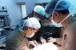 Phẫu thuật thành công khối chửa ngoài tử cung ở đại tràng ngang