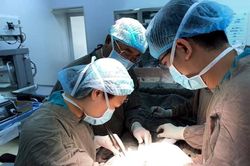 Sản phụ có thai ngoài tử cung nằm ở... đại tràng ngang hiếm gặp