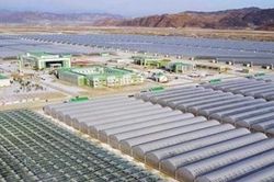 Hàn Quốc hối thúc Triều Tiên phản hồi về một sự đánh đổi 'táo bạo'