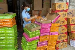 Thu giữ hơn 10.000 bánh Trung thu nhãn nước ngoài, giá siêu rẻ 2.500 đồng/chiếc