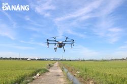 Trình diễn thiết bị không người lái phục vụ sản xuất nông nghiệp