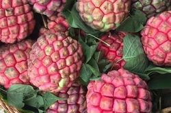 Điều đặc biệt của loại na ruột đỏ giá đắt gấp 3 lần 'chỉ ngửi không ăn' nhiều người săn lùng