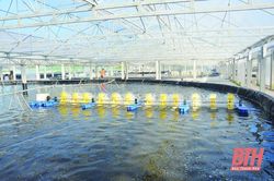 Phát triển kinh tế thủy sản từ những giải pháp đồng bộ, sáng tạo ở xã Hòa Lộc