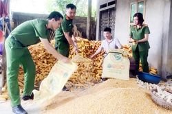 Vì bình yên cuộc sống