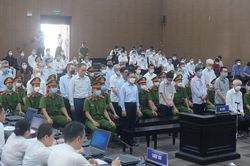 Nguyễn Đại Dương kêu oan tại phiên xử vụ án chuyển hóa 43 ha