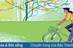 Gặp lại hương thu