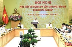 Hình ảnh Hội nghị trực tuyến toàn quốc về phát triển thị trường lao động