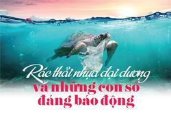 Rác thải nhựa đại dương và những con số đáng báo động