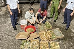 Cẩn trọng với bánh không rõ xuất xứ
