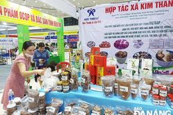Gỡ khó cho hợp tác xã nông nghiệp