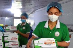 Thực phẩm chay đóng hộp của cơ sở Bình Loan được xuất khẩu sang Anh quốc