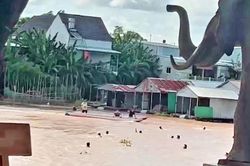 Gặp ân nhân của hàng chục người bơi qua sông biên giới trốn khỏi casino