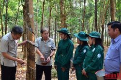 Kim ngạch xuất nhập khẩu Việt Nam-Lào giữ vững đà tăng