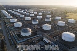 Mỹ dự báo sản lượng dầu trong nước cao kỷ lục vào năm 2023
