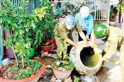 TPHCM: Đã có 18 trường hợp tử vong do sốt xuất huyết