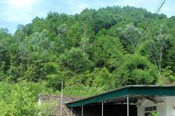 Ẩn họa sạt lở mùa mưa bão