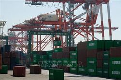 Củng cố chuỗi cung ứng - trọng tâm hợp tác giữa Việt Nam và Nhật Bản