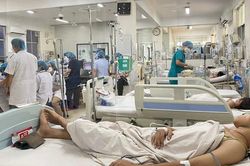 TP.HCM đã có 18 ca tử vong do sốt xuất huyết