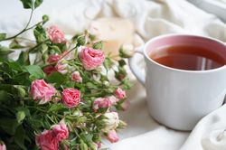 Trà hoa hồng giúp ngăn ngừa ung thư và tiểu đường