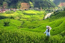 Thời báo nổi tiếng nước Anh đăng trải nghiệm xuyên Việt đầy ấn tượng