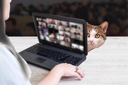 Cô giáo bị sa thải vì để mèo xuất hiện trong lớp học trực tuyến