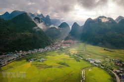 Mùa lúa chín Mường Khương - dải lụa vàng nơi biên viễn Tổ quốc