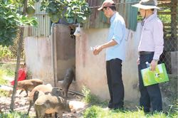 Kinh tế Kinh tế 'Phao cứu sinh' cho hộ nghèo