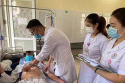 Cùng bị ong vò vẽ đốt, mẹ tử vong, con nhập viện cấp cứu
