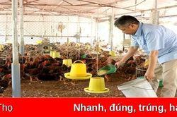 Để kinh tế trang trại phát triển bền vững
