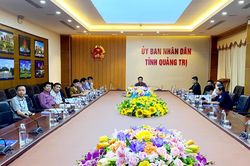 UBND tỉnh thống nhất chủ trương triển khai giải pháp cửa khẩu số
