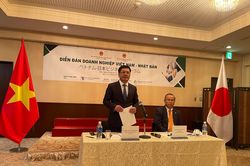 Doanh nghiệp Nhật quan tâm đầu tư lĩnh vực năng lượng của Việt Nam