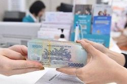 Thúc đẩy triển khai thực hiện hỗ trợ lãi suất theo quy định tại Nghị định số 31/2022/NĐ-CP