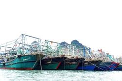 Bão số 3: Quảng Ninh ngừng cấp phép phương tiện ra khơi; Hải Phòng lên nhiều phương án ứng phó
