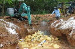 Quảng Ngãi tiêu hủy toàn bộ đàn gà bị nhiễm cúm A/H5N1