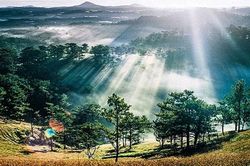 Ngõ nhỏ mờ sương