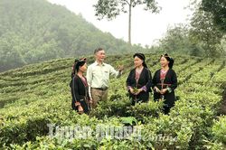 Hiệu quả phát triển kinh tế tập thể
