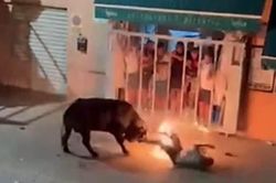 Người đàn ông bị húc tới chết trong lễ hội 'đốt bò' ở Tây Ban Nha