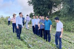 Bộ trưởng Bộ Nông nghiệp và Phát triển nông thôn khảo sát mô hình sản xuất nông nghiệp tại Bắc Hà